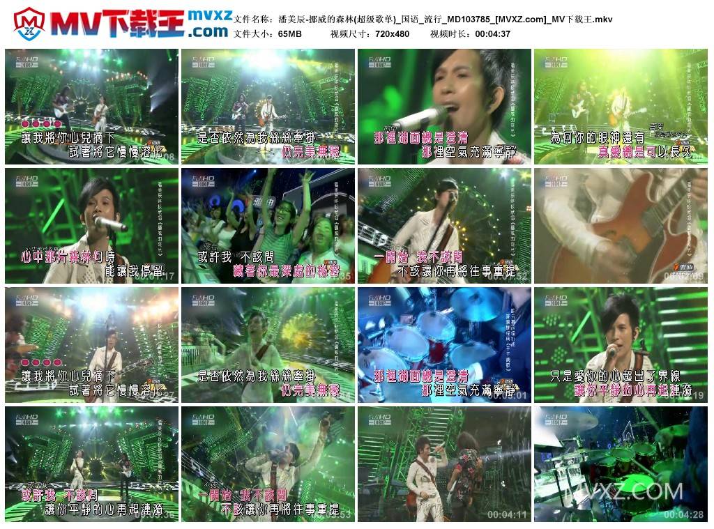 潘美辰-挪威的森林(超级歌单)_国语_流行_MD103785